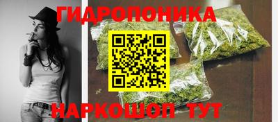 хмурый Кингисепп