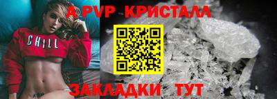 хмурый Кингисепп