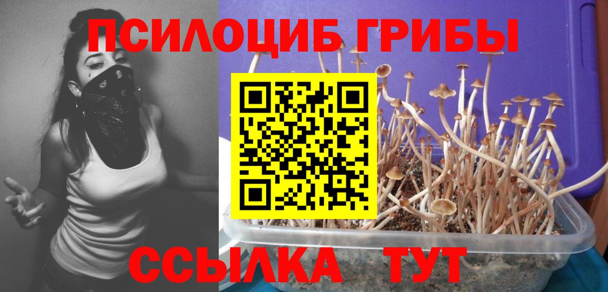 Псилоцибиновые грибы MAGIC MUSHROOMS  Псилоцибиновые грибы Magic Shrooms  Барабинск  Вход с VPN 